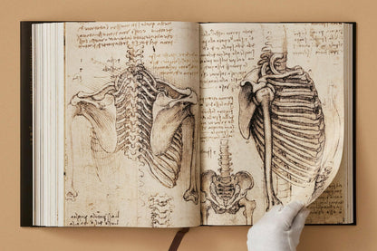 Leonardo. Sämtliche Gemälde und Zeichnungen (German)