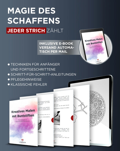 LIEBERGE Farbstifte in Profi-Nylon-Etui (72 Farben)