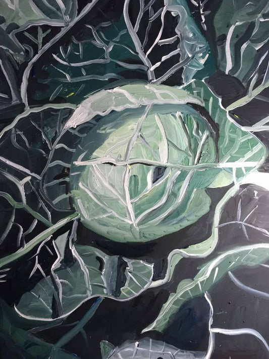 Sabine Schäfer | "Weißkohl" | 80 x 60 cm